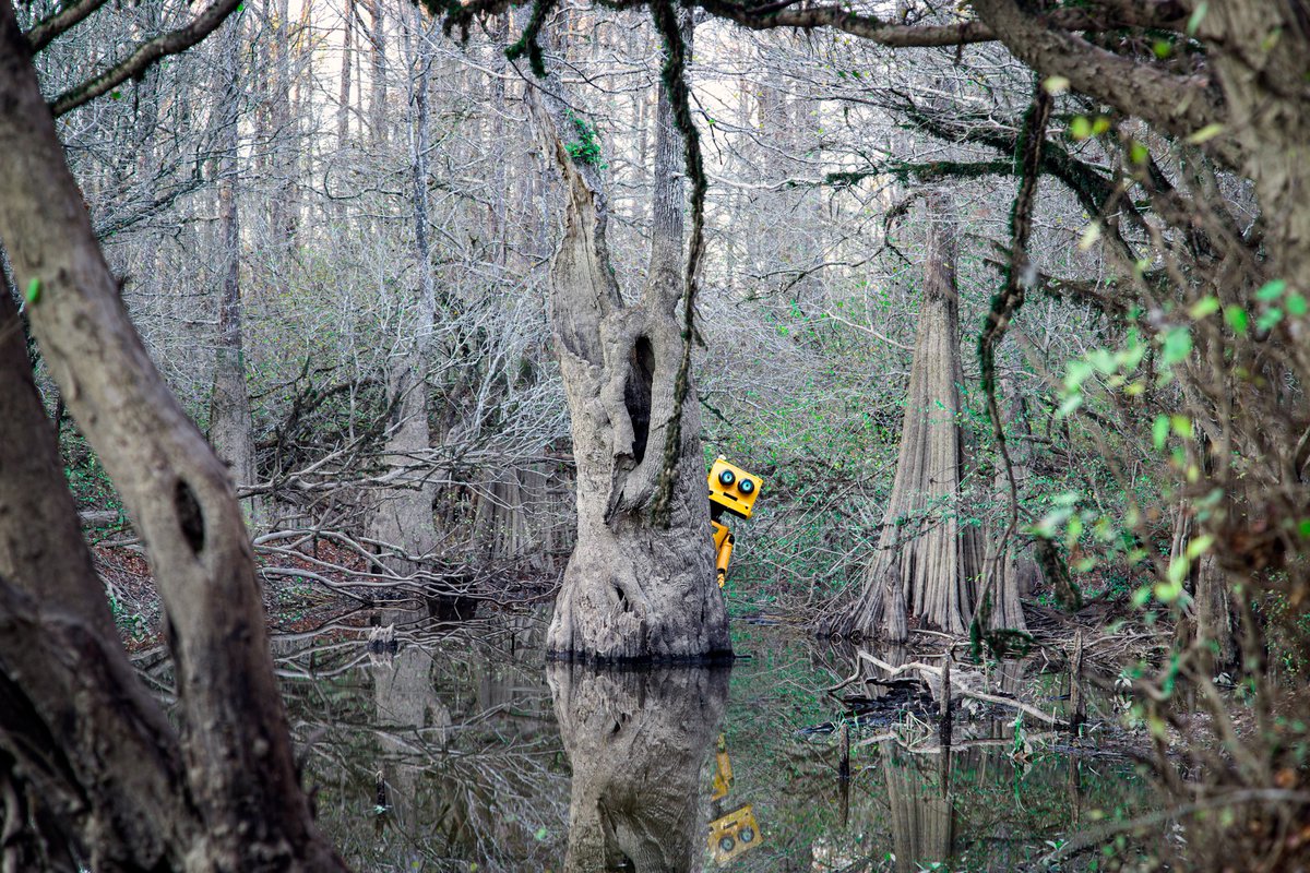 He’s not your average little robot. He’s a swamp loving one, among the cypress trees. Meet Beeper. #aiart #swamp #cypresstrees #riseofthelykins