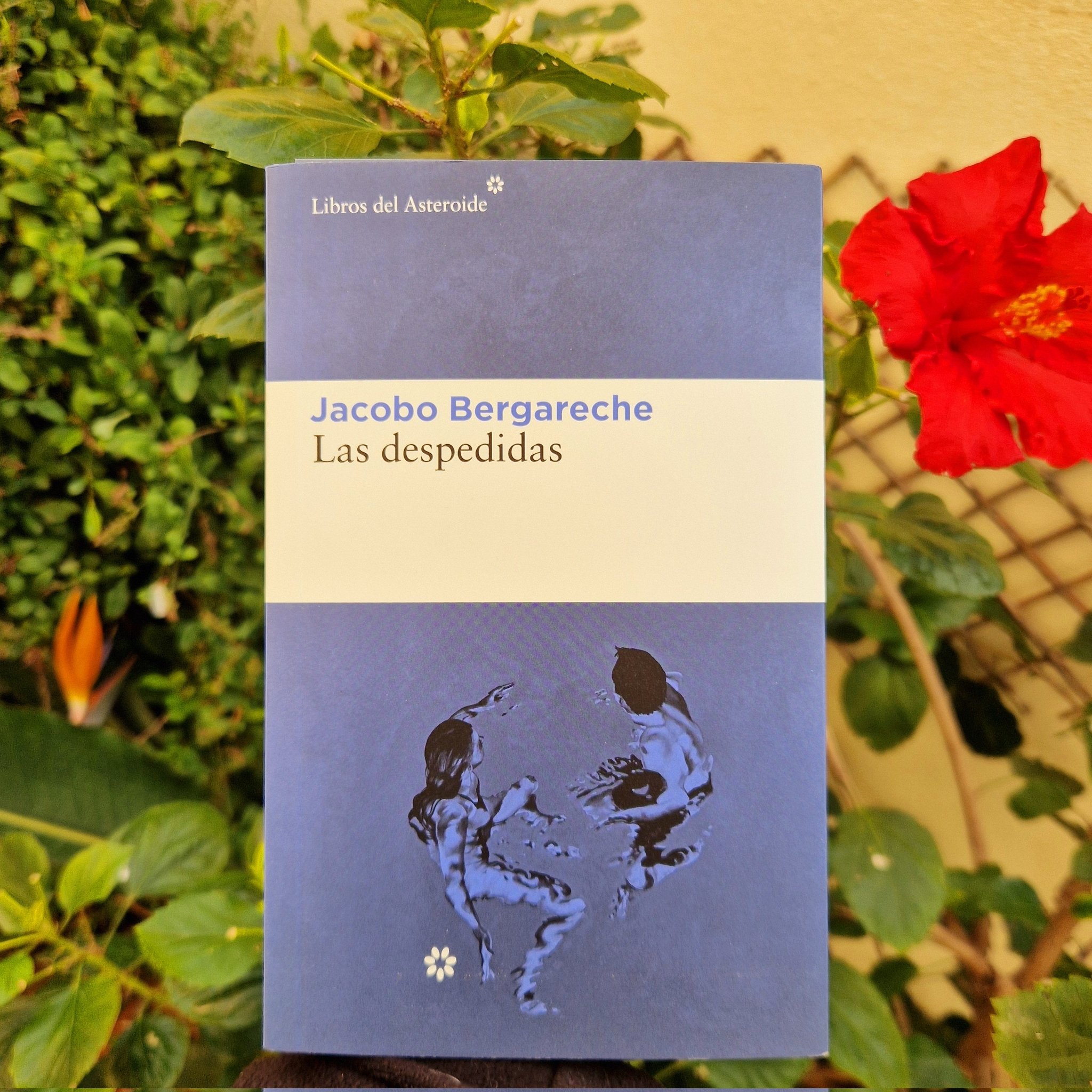 EDUCACIÓN 3.0 on X: Después del enorme éxito cosechado con 'Los días  perfectos', Jacobo Bergareche regresa a la novela con una historia que  ahonda en la pasión, en la pérdida y en