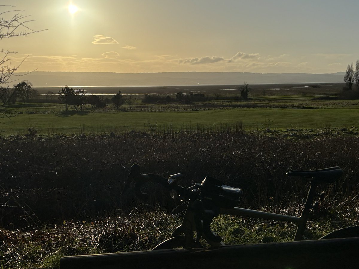 Tom Wallace tweet media