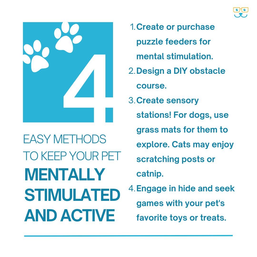Keeping your pets mentally stimulated is as essential as physical activity. Here are four easy methods to keep your pets' minds sharp and tails wagging!. 🎾🐶🐱 

#mentalstimulation #bocaparkanimalhospital #lasvegasveterinarians