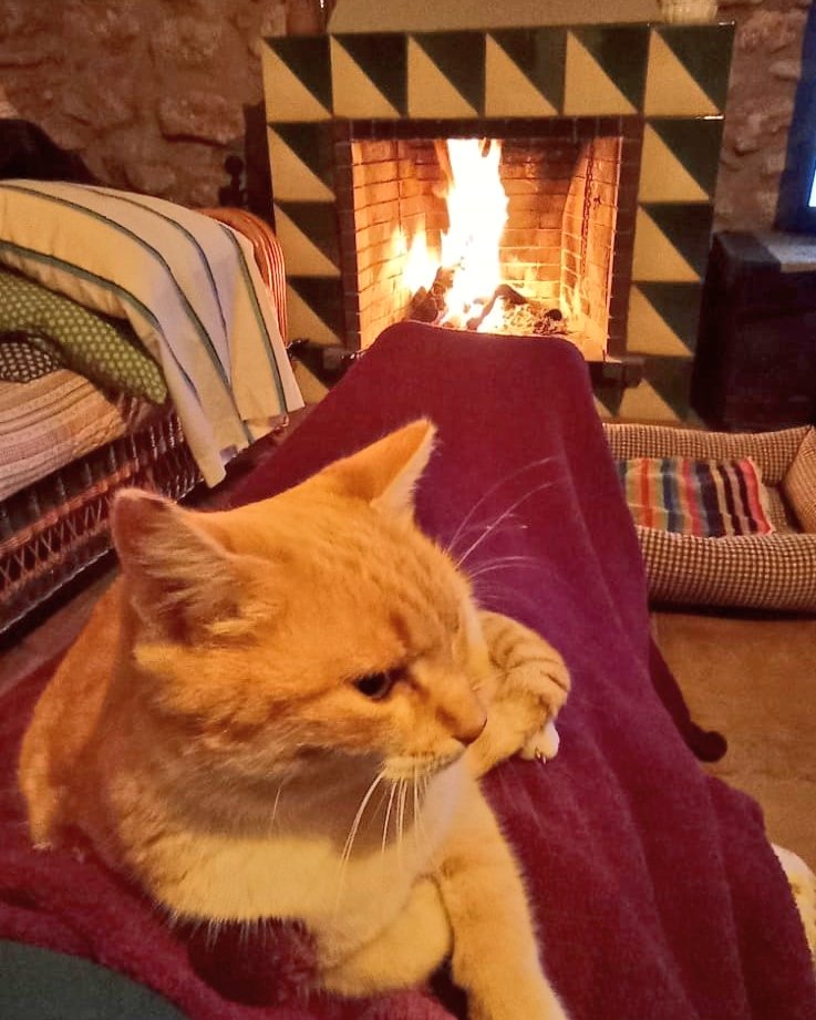 Highsmith tweet media