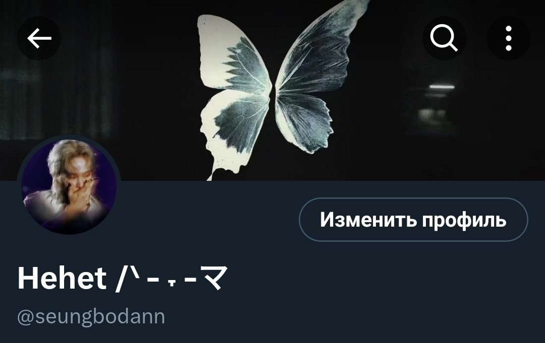 seungbodann's tweet photo. С новой оформой меня 🥰 https://t.co/dUSITCg2Is