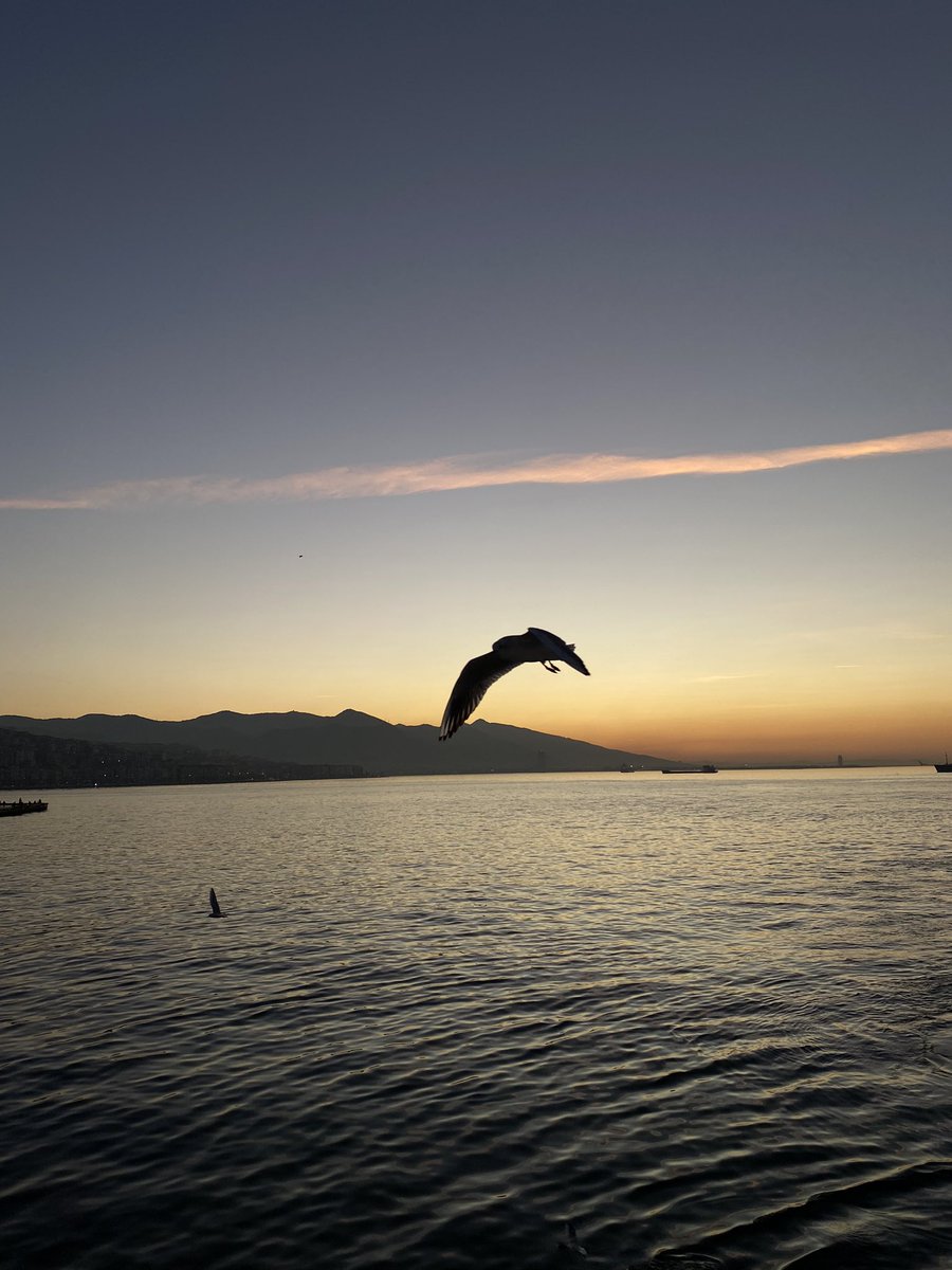 Sinenur4's tweet photo. İzmir👣 https://t.co/L22DUy4nAL