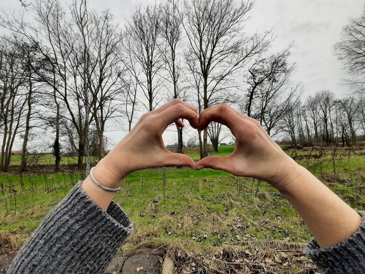 sofiedecl's tweet photo. #natuurinhethart https://t.co/LsYbUdEg6J