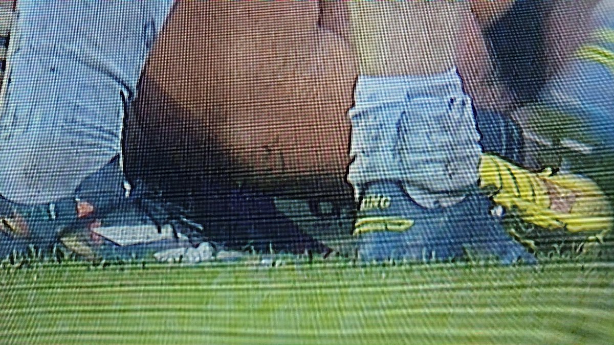 Ryeclops tweet media