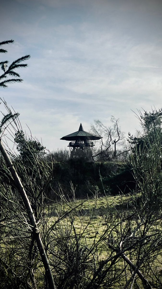 DBKfromOWL's tweet photo. Eggeturm, Velmerstot 
#teutoburgerwald #architecture #draussenzeit #everydayadventure #germany #hiking #makesomething #explore #ostwestfalen #outdoor #owl #paderbornerland https://t.co/ONYnJ1nPFY