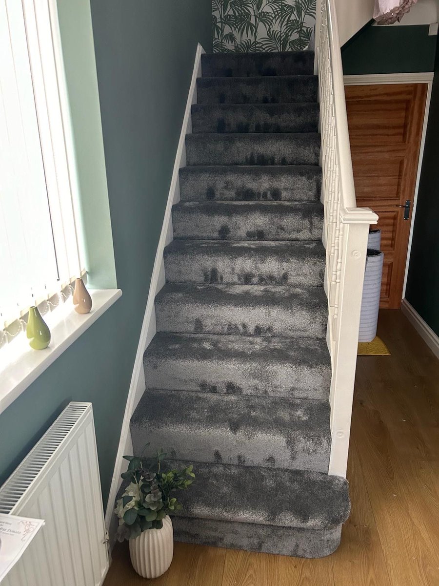 Kingfisher_L20's tweet photo. Lounge - Kesari Storm
Stairs - Verdi Stardust for a lovely home in Litherland 🩶
#KingfisherCarpets #CarpetsLiverpool #CarpetFittersLiverpool #FlooringLiverpool
#ArtificialGrassLiverpool
#HomeImprovement #InteriorDesign https://t.co/yKVigF4b8i