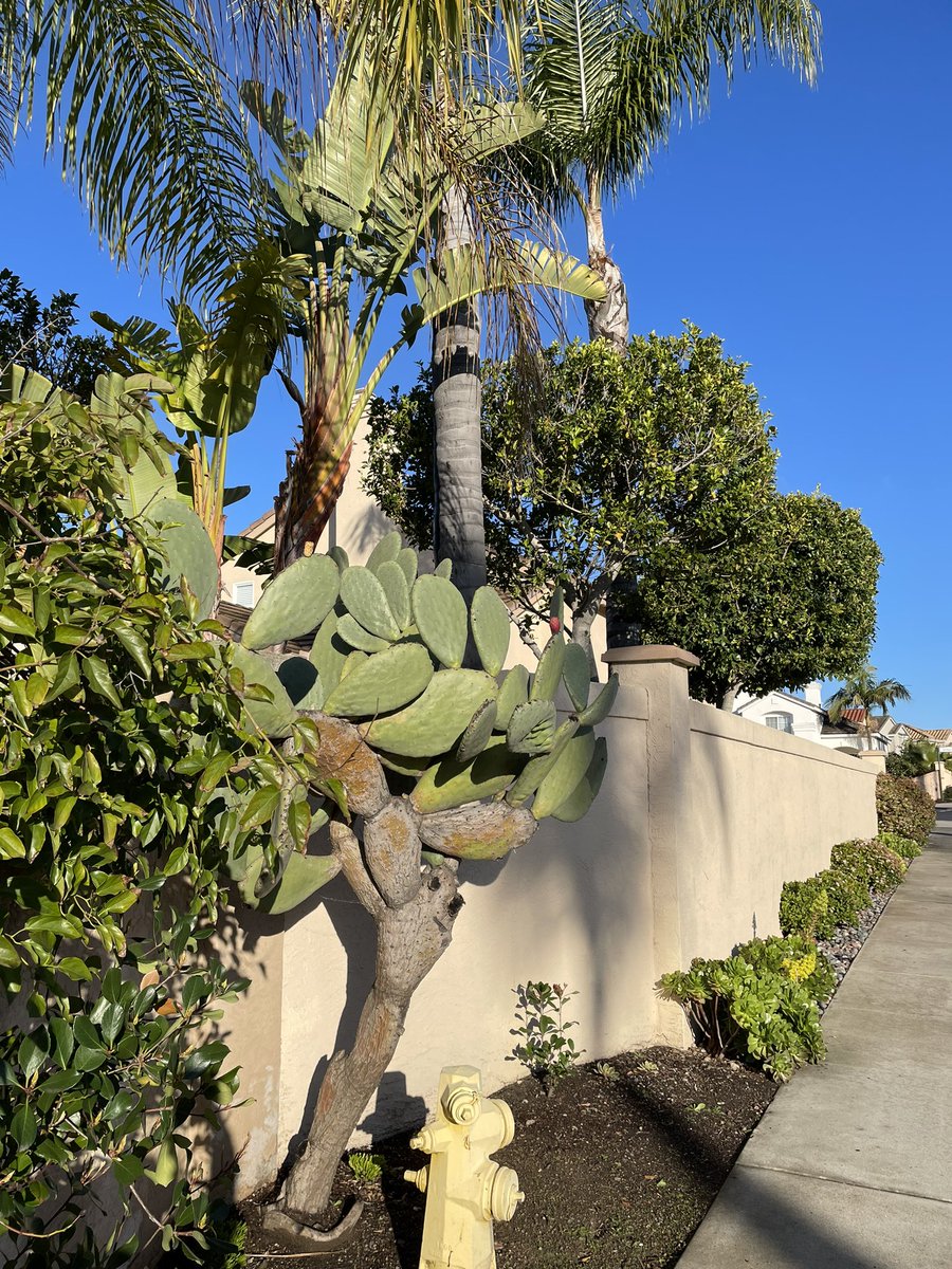 ThepaleUsher's tweet image. Along the way 

#outforawalk