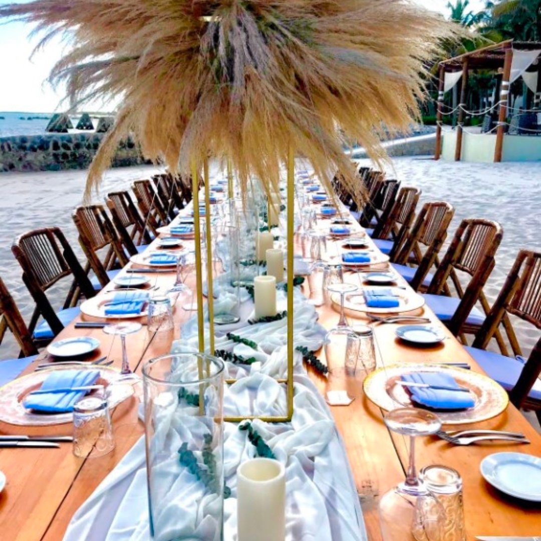 romancetravelgp's tweet image. Table runners offer endless options and countless ways to transform your reception!💖
Check out our Page to discover our favorite ideas - from glamorous to minimal, find your perfect style.✨
#TableRunners #ReceptionTransformations #EventDecor #GlamorousEvents #MinimalistStyle