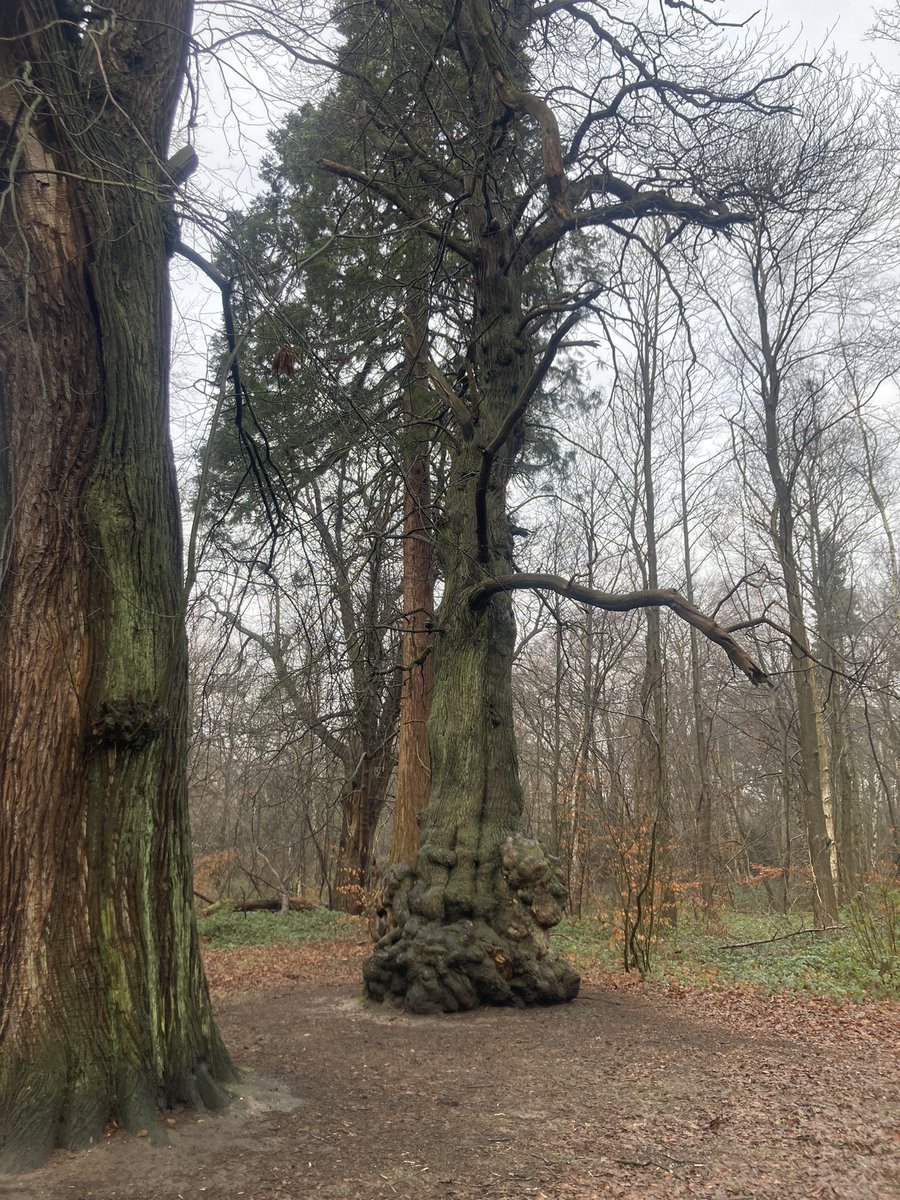 Sharon Bartlett tweet media