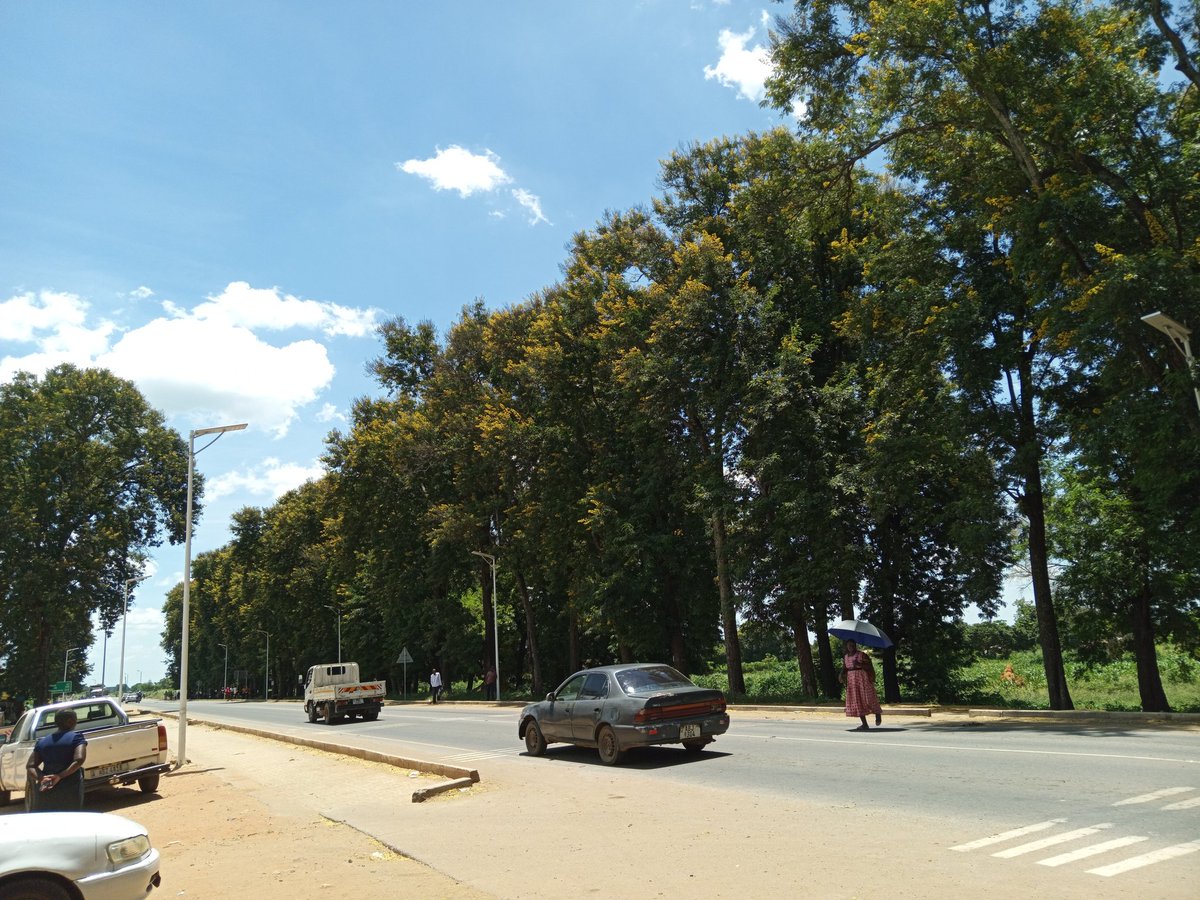 My best view of all times