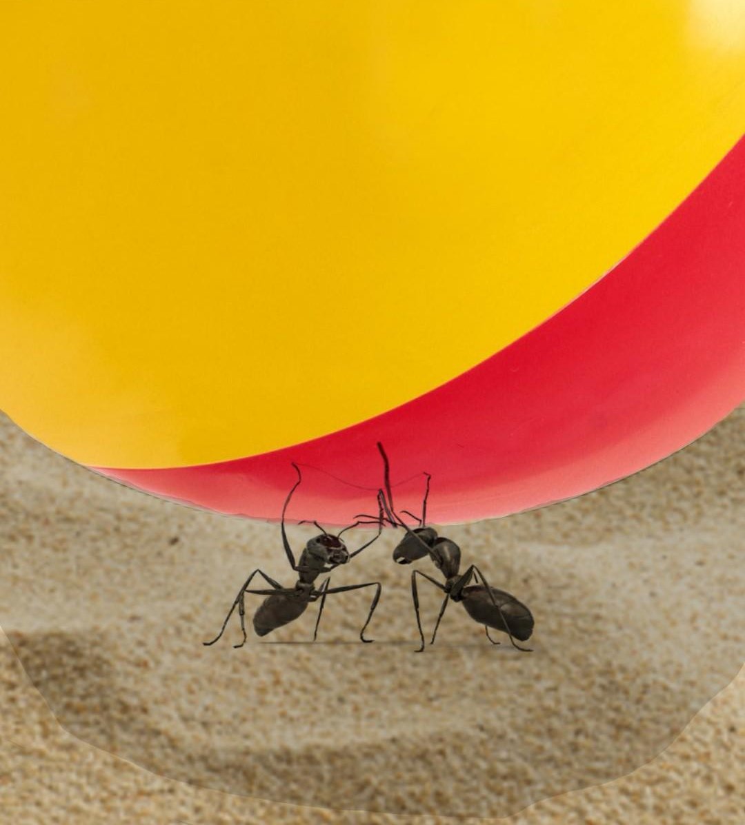 Highway62 tweet media