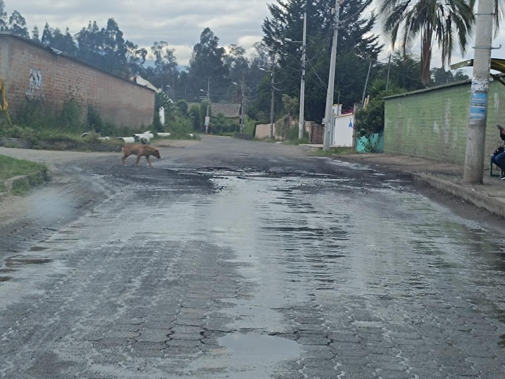 ChecaSostenible's tweet photo. Crater auspiciado por @aguadequito en la calle 3 de mayo en la entrada principal a Checa. Un desastre la gestión de @aguadequito en general y @pabelml 
@checa_gad https://t.co/U8QXW8XvVW