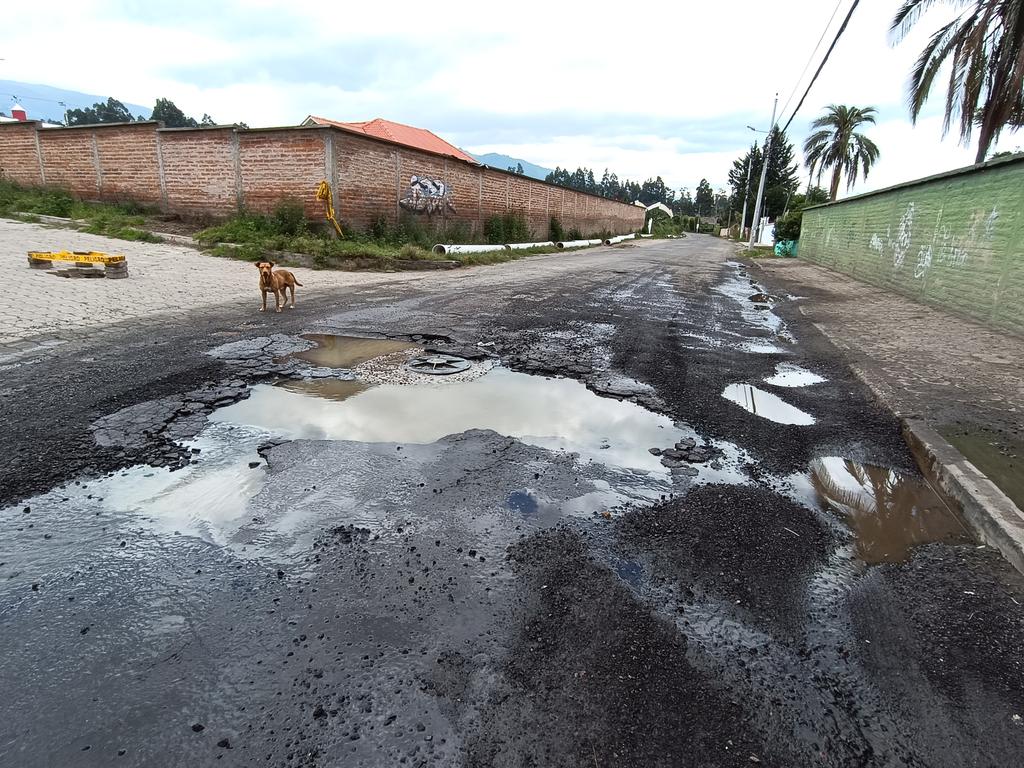 ChecaSostenible's tweet photo. Crater auspiciado por @aguadequito en la calle 3 de mayo en la entrada principal a Checa. Un desastre la gestión de @aguadequito en general y @pabelml 
@checa_gad https://t.co/U8QXW8XvVW