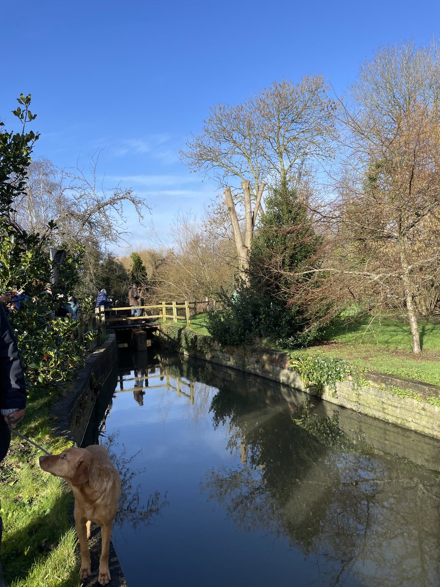 Great morning with ⁦<a href="/HarnhamWMT/">Harnham Water Meadows</a>⁩ #salisbury