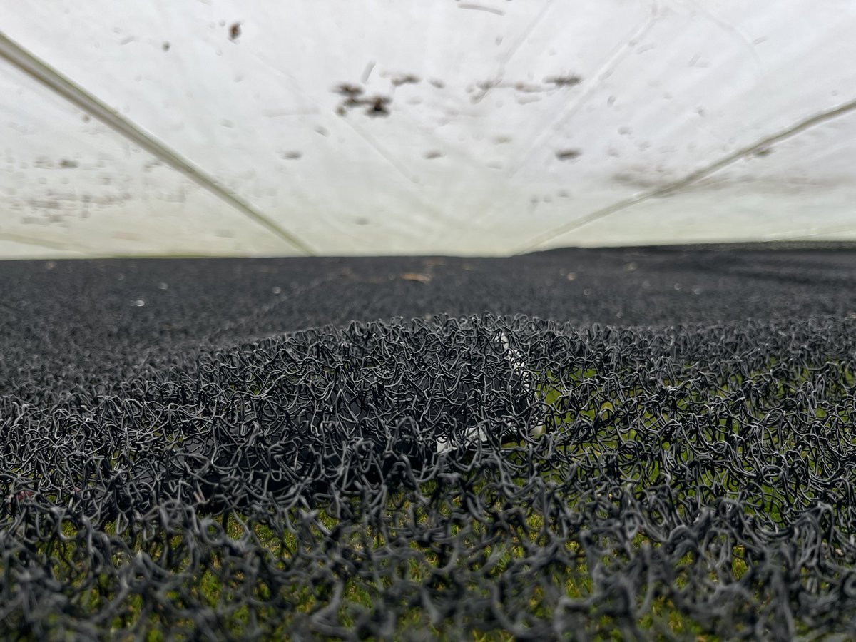 mleggturf's tweet photo. @ScottGreenCast @SyngentaTurf @SyngentaGolf Spiio data, #Turfadvisor, on site tarp crawls, and molecular pathogen testing; all supporting the strength of Syngenta products … Result = a happy customer, with peace of mind that things are healthy and happy despite this El Niño winter. @SyngentaTurfCA https://t.co/DZACCuubK7