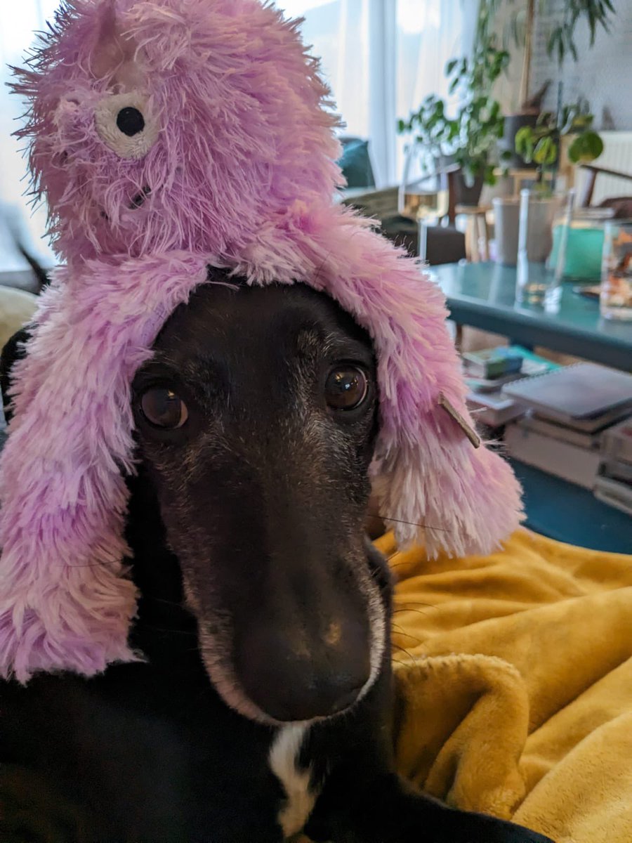 🐙 Happy Queen. She’s just brilliant isn’t she ❤️