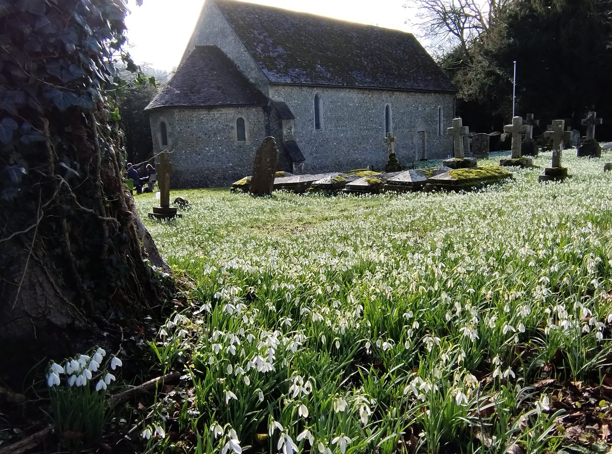 Snowdrop Teas this weekend and next weekend at St Botolph's Church, Swyncombe. #snowdrops #stbotolphschurch #swyncombe