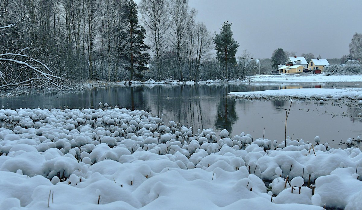 Jens Gustafsson tweet media