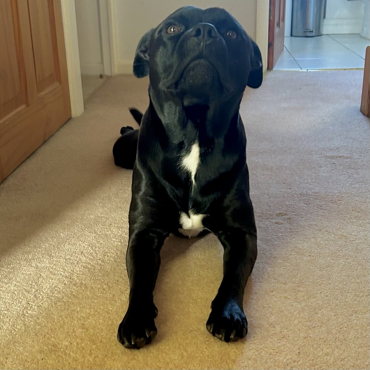 Baby Frank & his teddy, Edward 🧸🏴󠁧󠁢󠁷󠁬󠁳󠁿 tweet media