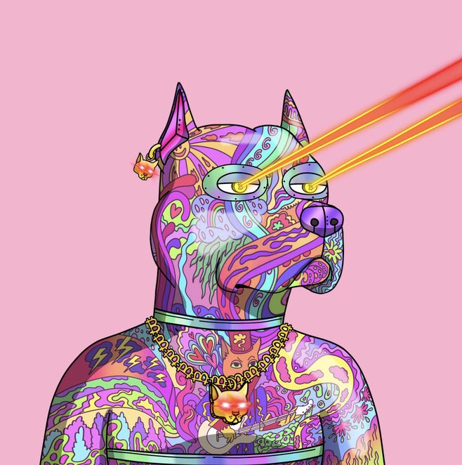 Woof Dunkerton tweet media