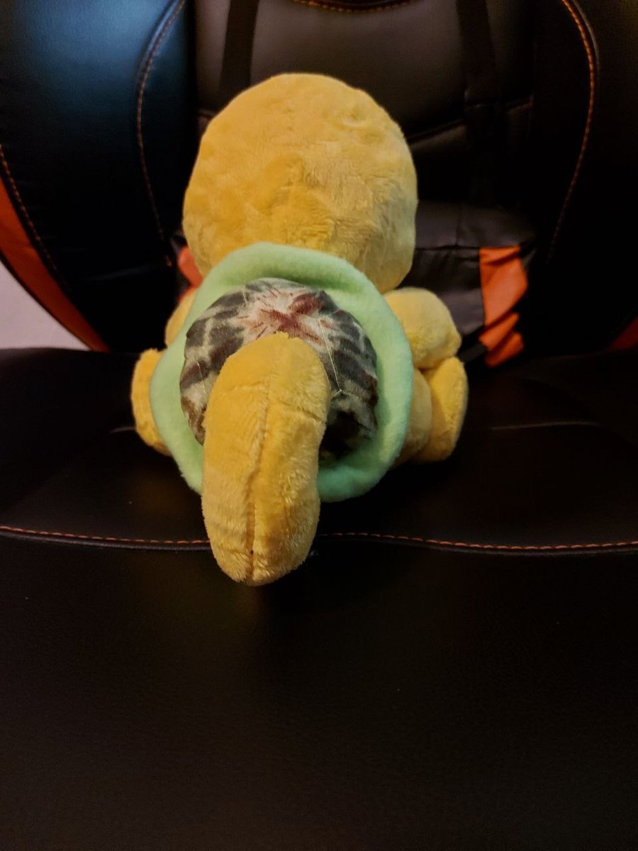 TesyraCreations's tweet photo. Who will adopt this sweet Franken Friend, an environmentally friendly plush?

https://t.co/r5cM5pBwXH

@FurForge https://t.co/Wn1bt7nktX