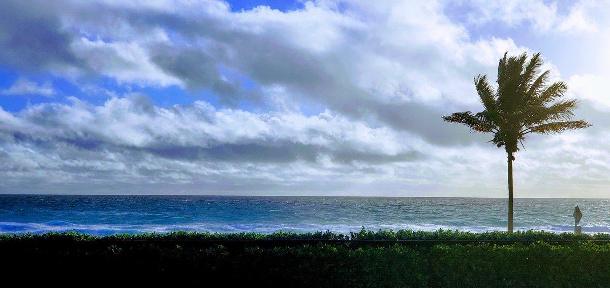 TaskerTurf's tweet image. Post a pic you&apos;d be proud to frame