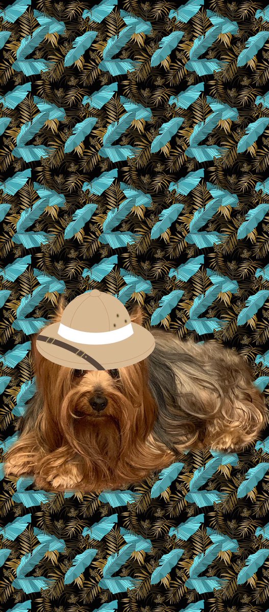 psbbrown's tweet photo. @gensbazzbiddy Gud meetin’ Yer Lordships! Sgt Theo B here at yer servis (flips flyin carpet and bows) #ZZST #eshq https://t.co/Z0GdBstEl9