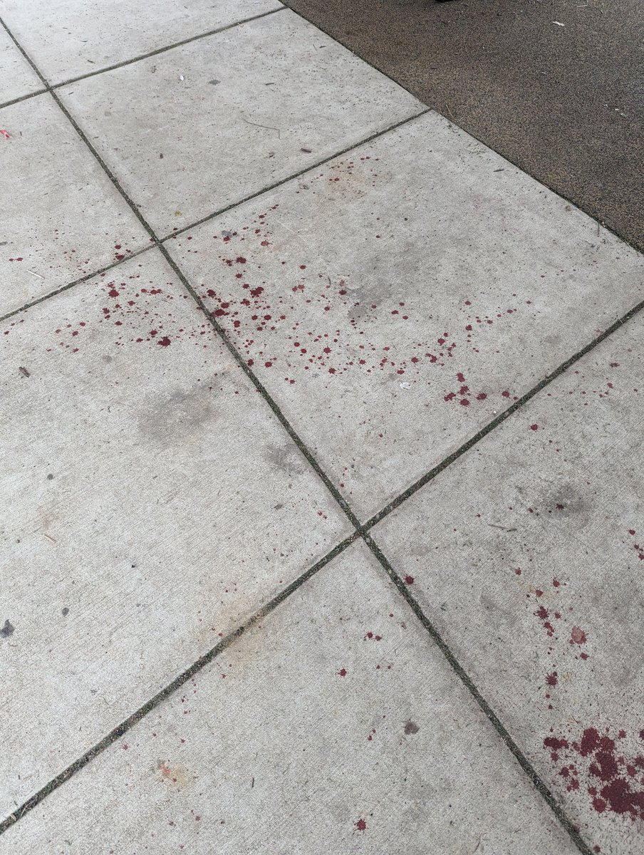 benvarquez's tweet photo. @311DCgov need a cleanup of blood? at Garrison Elementary playground. https://t.co/NxtwukTijC