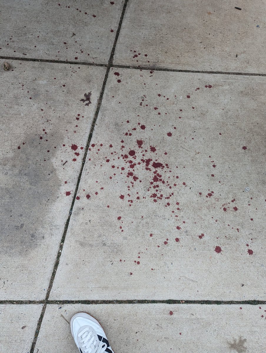 benvarquez's tweet photo. @311DCgov need a cleanup of blood? at Garrison Elementary playground. https://t.co/NxtwukTijC