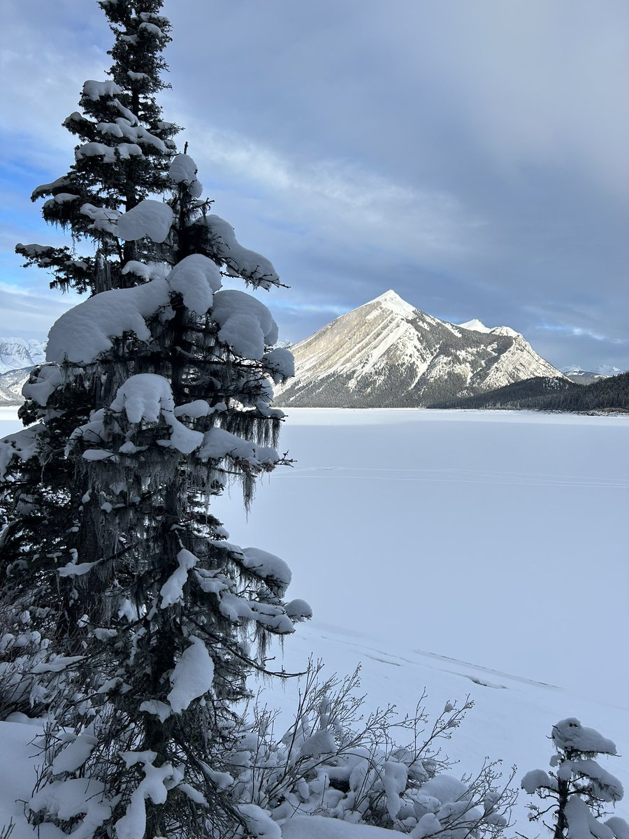 Oilers1827's tweet image. Winter hikes with fresh snow 😍 #kcountry
