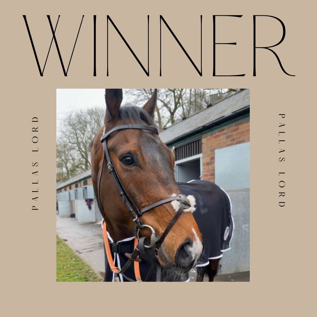 WhillansRacing's tweet photo. 🥇 WINNER 🥇

The ever consistent PALLAS LORD, wins at @NewcastleRaces under a well timed ride from @jasonhart13. Well done to everyone involved. #Winners #lord #racing https://t.co/EzVcTBRkEH