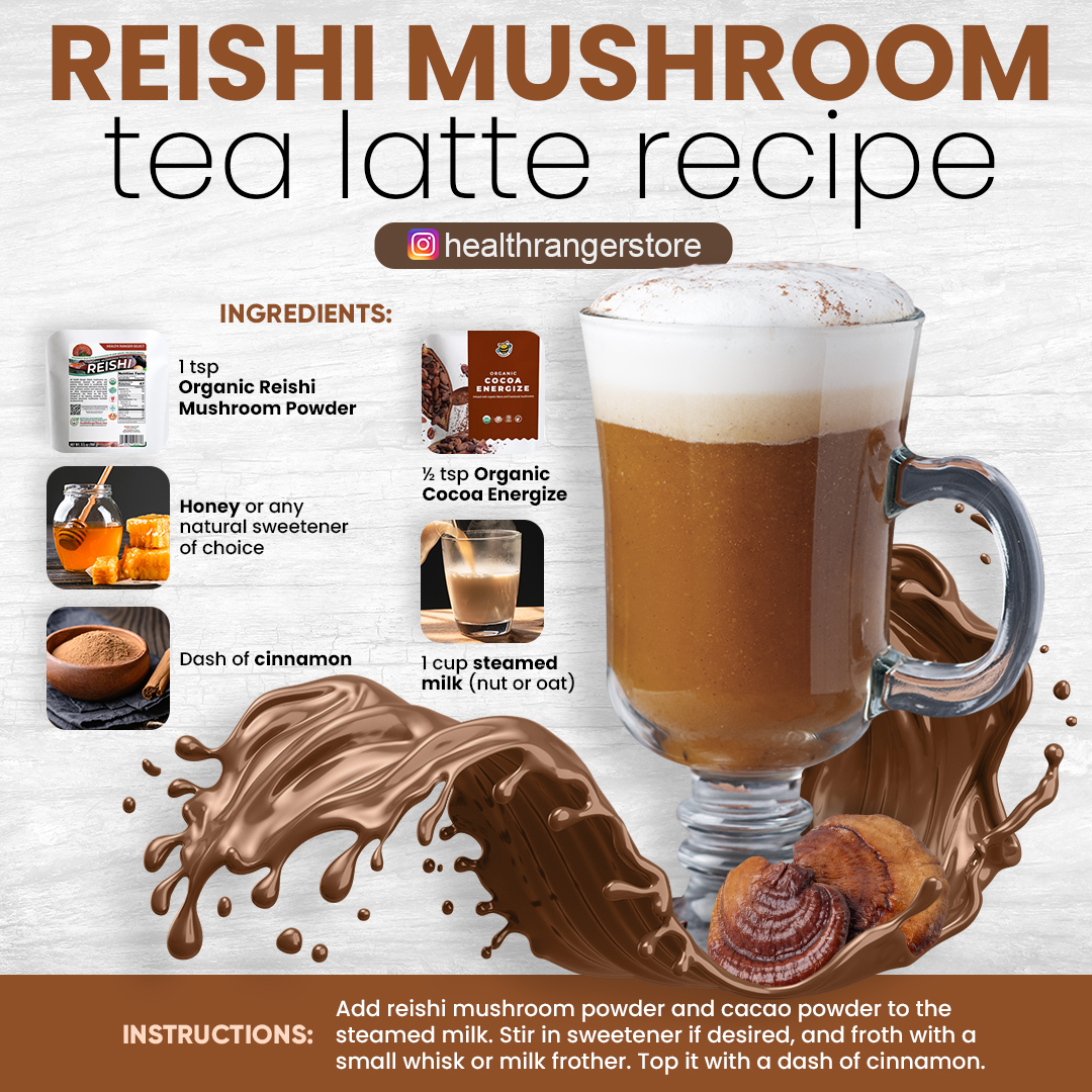 Reishi Mushroom Tea Latte Recipe #healthydrink #healthbenefits #recipe #functionalmushroom #remedies