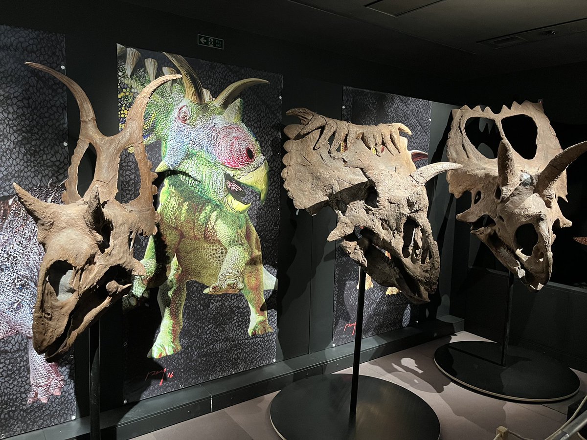 Dr Steven Allain tweet media