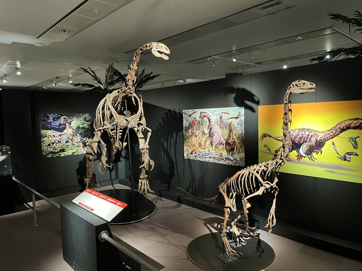 Dr Steven Allain tweet media