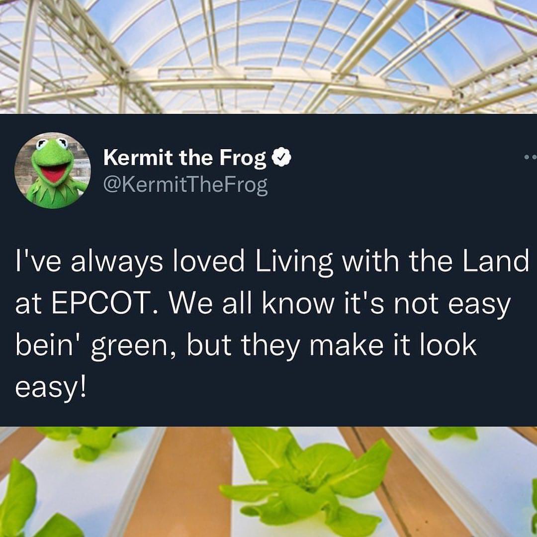 Happy anniversary to one of my top three celebrity tweets of all time.