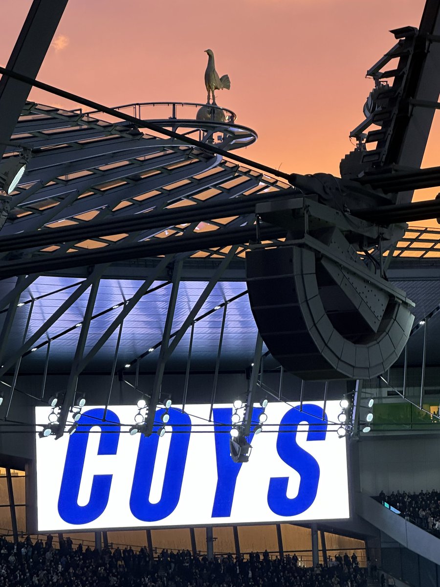 Solveig Horvei tweet media