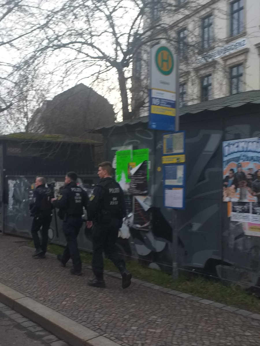 GiaFelino tweet media