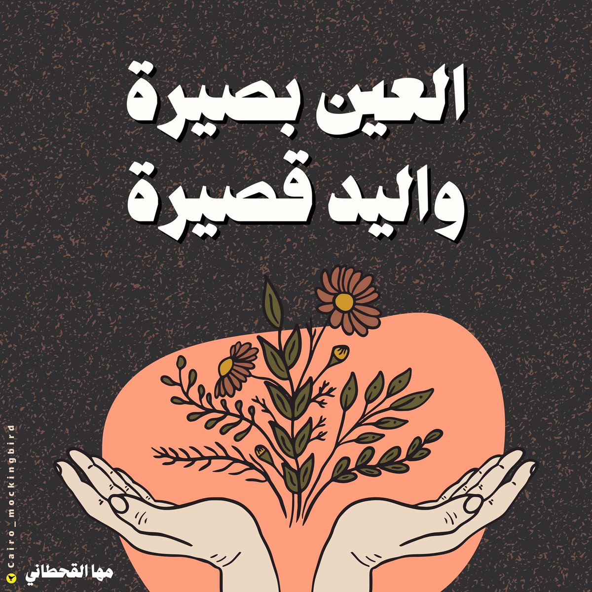 𝐂𝐚𝐢𝐫𝐨 𝐌𝐨𝐜𝐤𝐢𝐧𝐠𝐛𝐢𝐫𝐝 tweet media