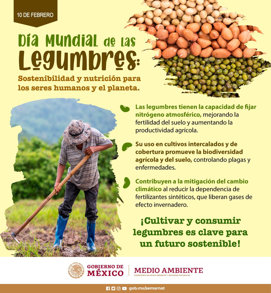 SEMARNAT México tweet media