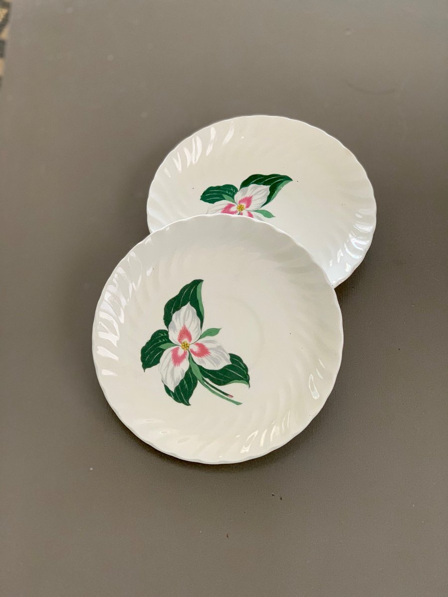 VSeagrape's tweet photo. Royal China Trillium Teacup Saucers, Set of 2, Vintage Bone China, Vintage Tea, White with Pink Trillium, Made in England #RoyalChinaTrillium #RoyalChina https://t.co/PsHqxhqTSK