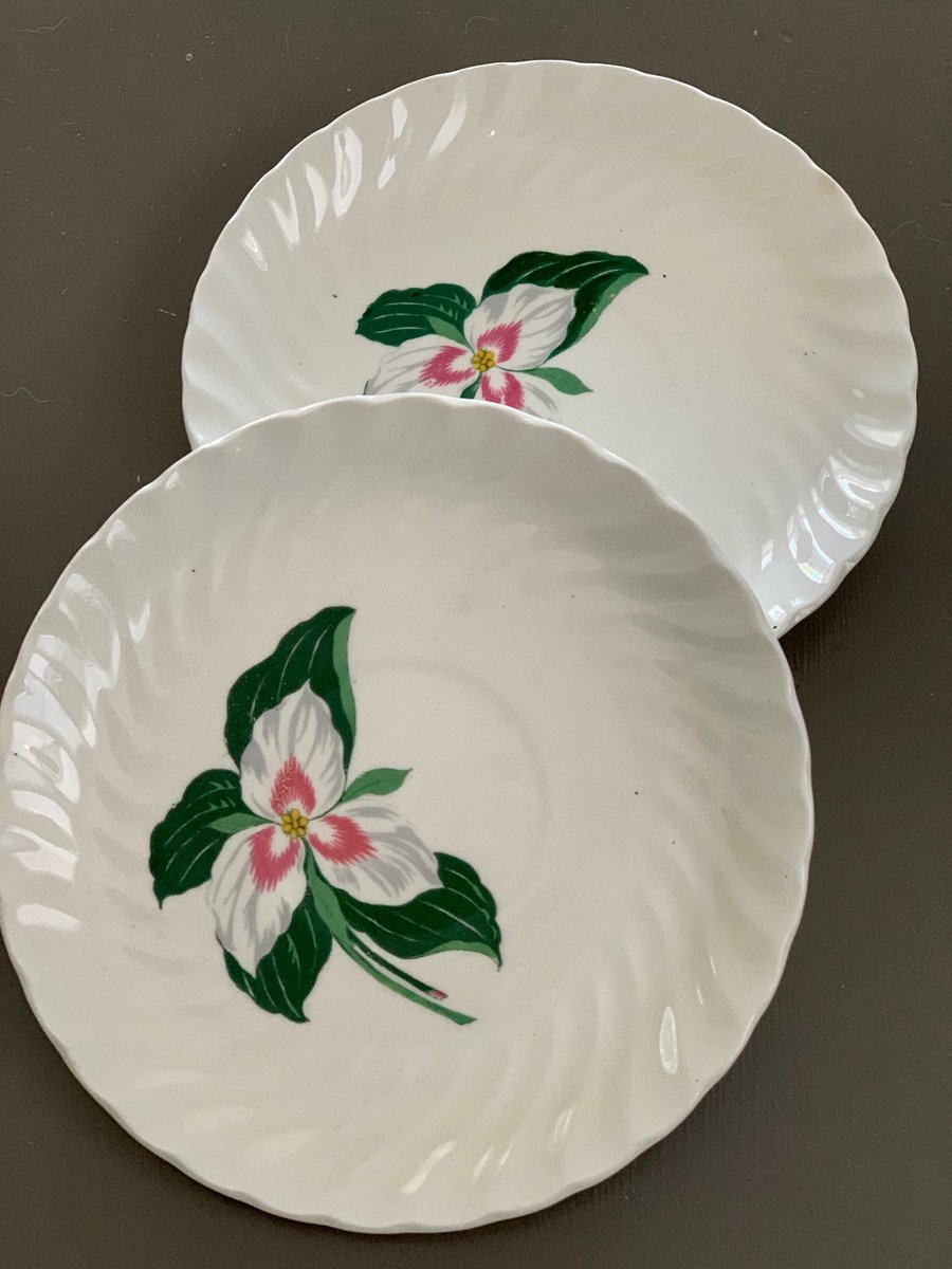 VSeagrape's tweet photo. Royal China Trillium Teacup Saucers, Set of 2, Vintage Bone China, Vintage Tea, White with Pink Trillium, Made in England #RoyalChinaTrillium #RoyalChina https://t.co/PsHqxhqTSK