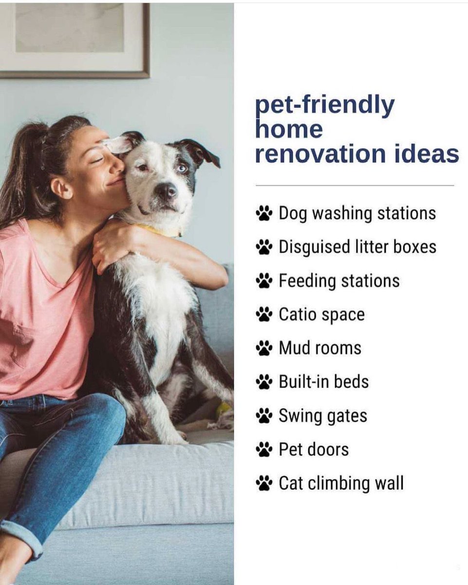 🐱🐶Because our fur babies deserve the best too! 

Show us some ❤️ If you agree! 

#homeimprovementideas #homeownership #sellingyourhome #sellingyourhometips #sellingprocess #homesellertips #homeownershipgoals #realestatetips #petlover #petloversoftwitter #petlovers