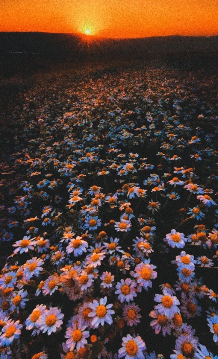 ㅤㅤㅤ
ㅤㅤㅤㅤㅤ     🌼  ₍ D ₎ ፧ °♡°  A quién ha sido una luz en mi camino y un abrazo a mi corazón:   

ㅤㅤ         .    <a href="/ukiyoacts_/">⤿ ۪ 𝆬 𓏸 JEFE HOWL</a> #UKILOVE  .   🤍