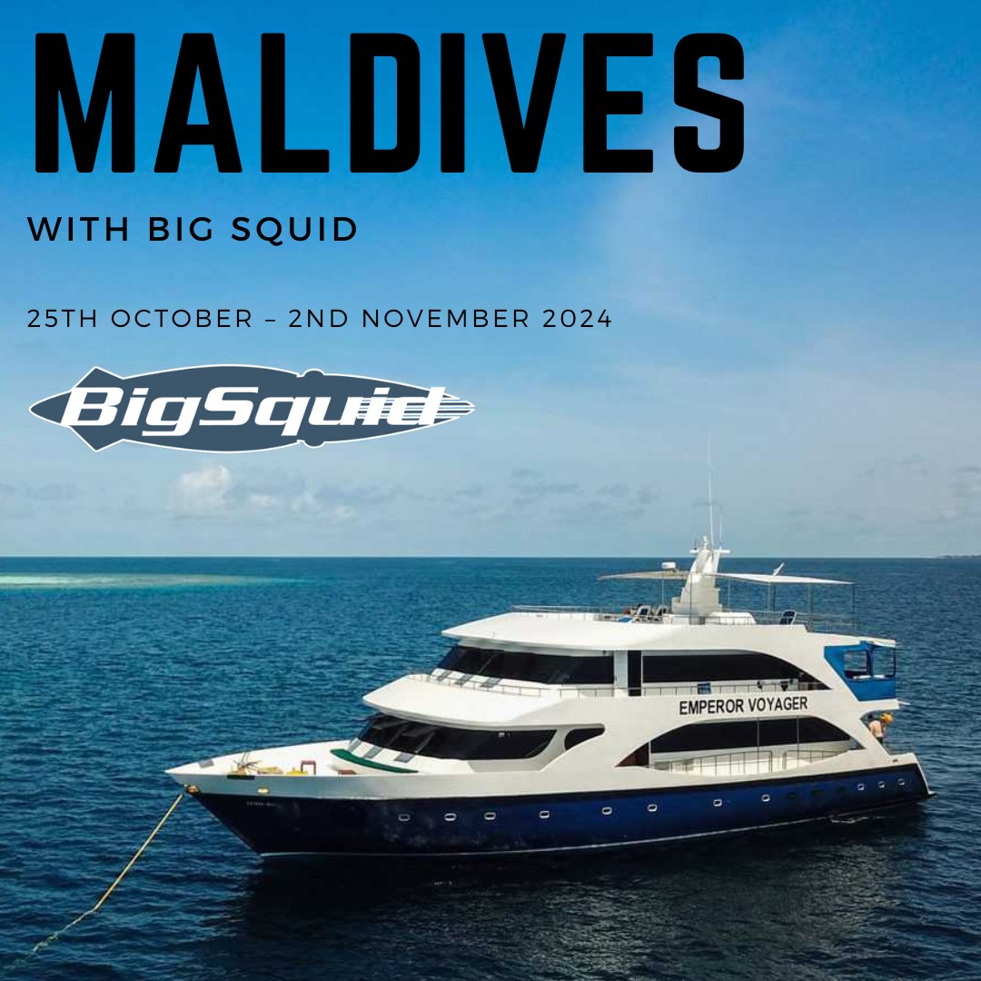 Join Big Squid for an amazing dive trip to the Maldives,
Itinerary, Best of Maldives.
Dates 25th October - 2nd November 2024
Sharks, Manta and possibly Whale Sharks!