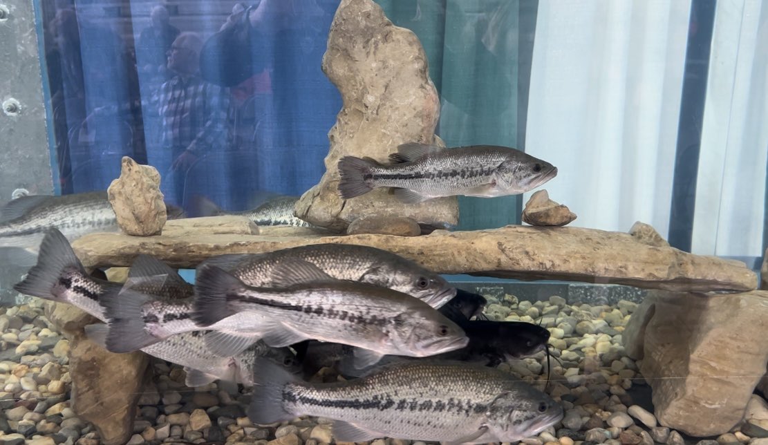 Larry Fletcher tweet media