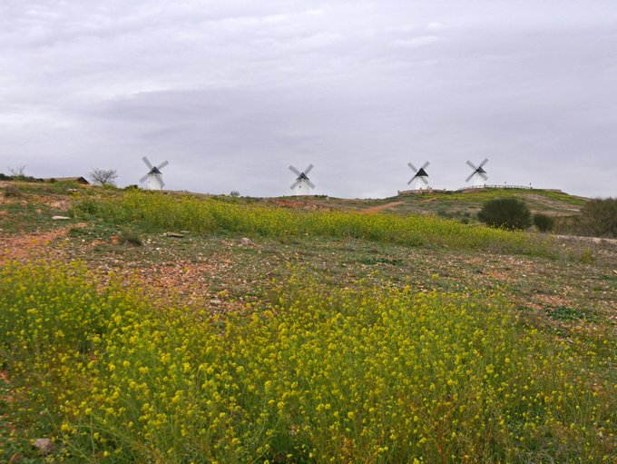 The legendary windmills in the La Mancha region, the land of the story of Don Quixote ⚔️🛡 https://t.<a href="/tag/provinciadecadiz"class="tags"><span>#provinciadecadiz</span></a>