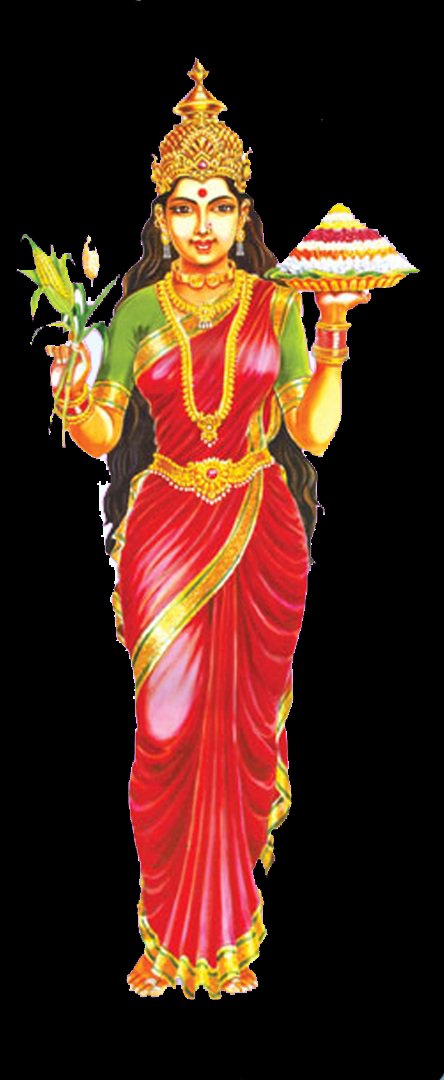 Anil_trs's tweet image. National to Local #Matha #Thalli  
#Thai 🙏