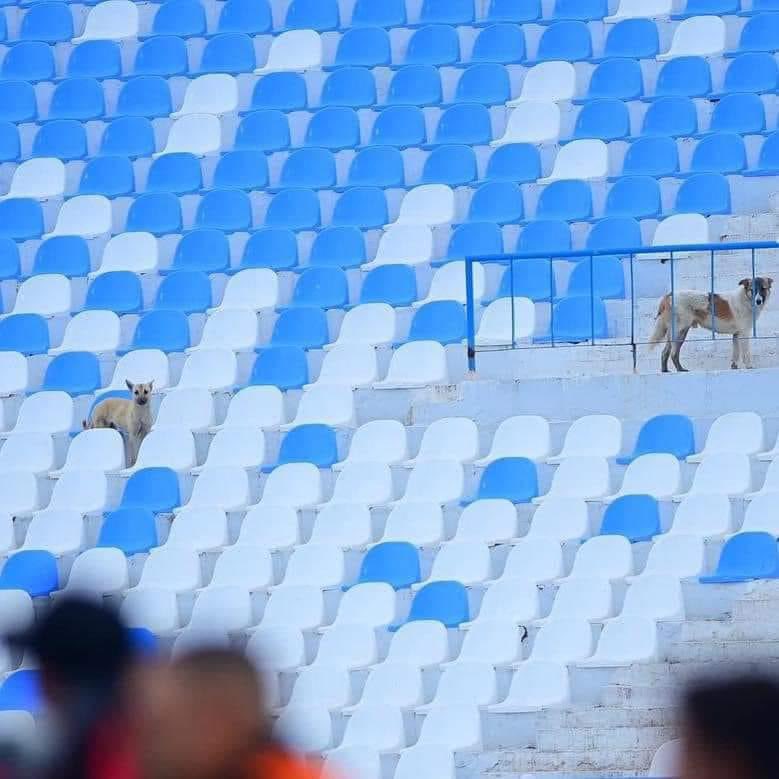 الاردنيين الان 👇 😂😂😂😂😂

احترك المنسف بنار التحكيم
سبحان الله
الدنيا دواره
اشربو من الكأس الذي شرب منه العراق

#قطر_الاردن 
#نهائي_كأس_آسيا2023 
#فوز_قطر