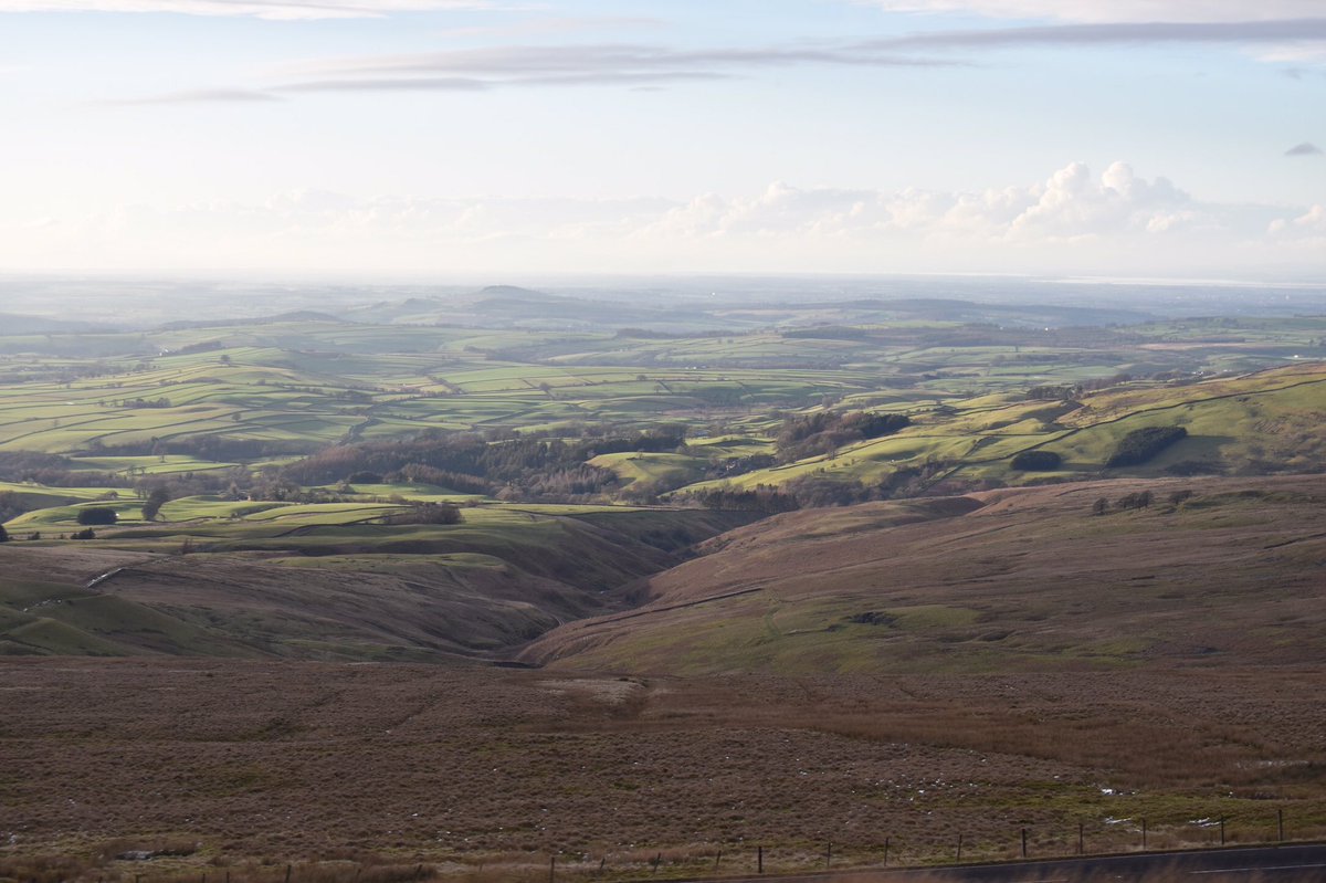 Bella Sabbagh 🇵🇸 tweet media